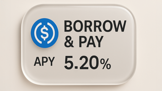 Bitpay Lancia HODL Pay per Consentire la Spesa di Stablecoin Supportate da Cripto