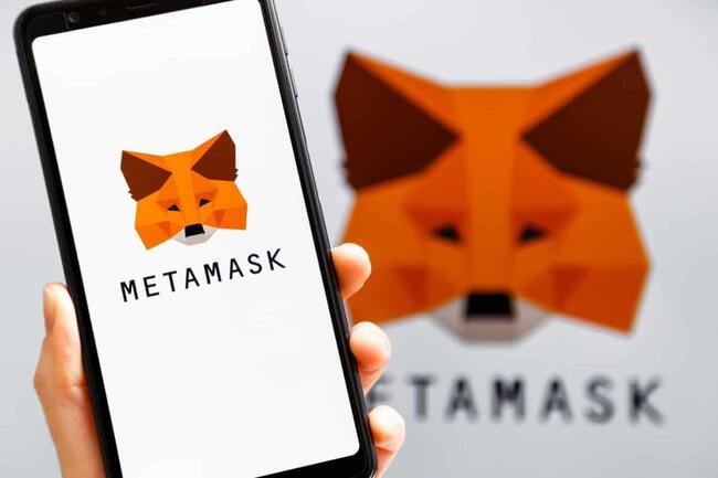 「小狐狸」發幣嗎？MetaMask 共同創辦人鬆口：還在考慮