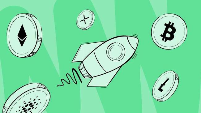 Digital Currencies in 2025: Why Predictability Is Beating Flexibility