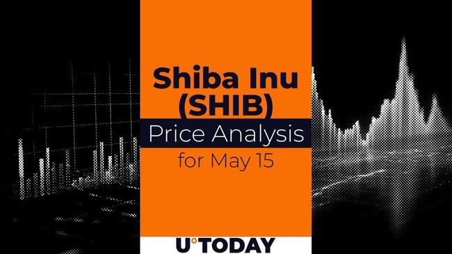 SHIB Price Prediction for May 15