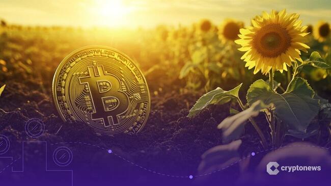 Ukraine lên kế hoạch lập quỹ dự trữ Bitcoin quốc gia, hợp tác với sàn Binance
