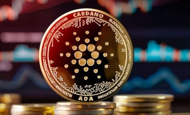 Cardano ETF มีลุ้น ! Polymarket ชี้โอกาสอนุมัติพุ่ง 55% นักลงทุนจับตาใกล้ชิด