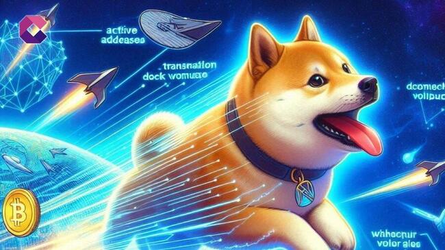 Il superciclo di Dogecoin sta per iniziare con ottimi dati on-chain