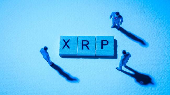 Expert: ‘XRP gaat exploderen – De komende 3 tot 6 maanden worden krankzinnig’