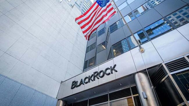 BlackRock Bawa Dana BUIDL ke DeFi Lewat Jaringan Avalanche