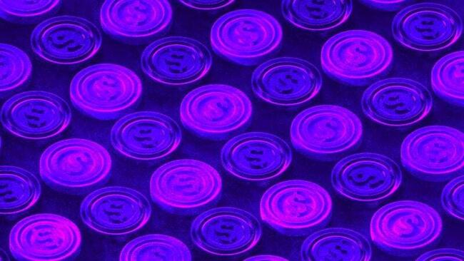 The Funding: Why big crypto VCs are joining Cobie’s Echo