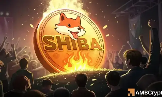 3,333,333 SHIB bị tiêu hủy trong 24h: Tín hiệu bí ẩn?