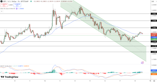 توقعات سعر ريبل مع استقراره عند 2.40$ وإظهاره إشارات شراء وسط دفاع الثيران عن منطقة دعم هامة، فإلى أين يتجه سعر XRP؟