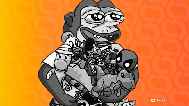 Solana Meme Coin Ponke Set to Release Collectibles, Apparel Via JCorp Spinout