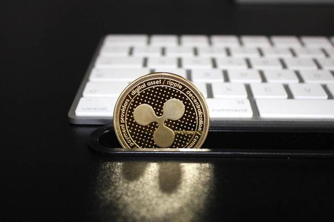 XRP zanurkuje i to boleśnie! Oto jak nisko spadnie kurs!