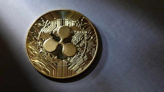 Ripple se expande en Emiratos Árabes Unidos con una licencia que impulsa el auge de los pagos con blockchain