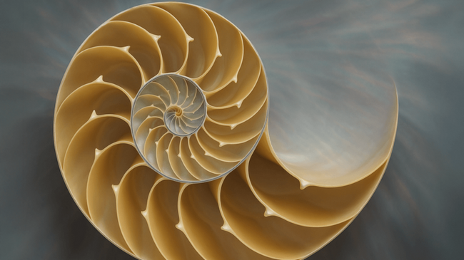 Fibonacci Retracement: Una Brújula para el Comerciante en el Mercado de Bitcoin