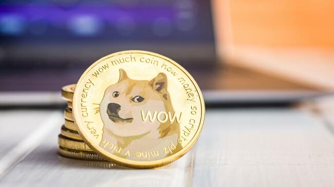 Dogecoin Boğalar ile Yeniden Destek Buldu: İşte Kritik Seviyeler!