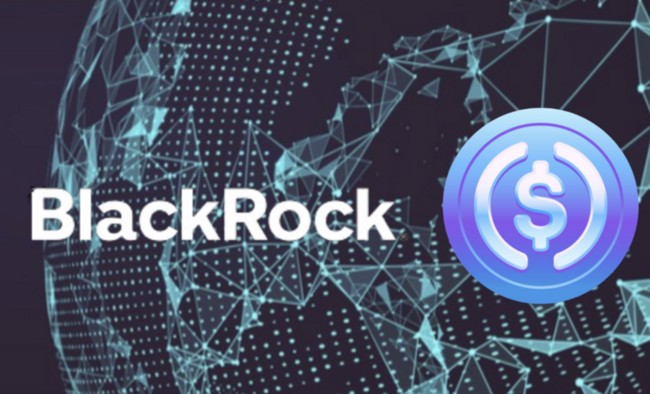 Circle、貝萊德「合作IPO」細節曝光：Blackrock 接管 90% USDC儲備資產、禁發穩定幣