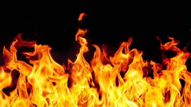 Solana Chain Extension Sonic SVM Führt Neues Token-Burn-Programm Ein