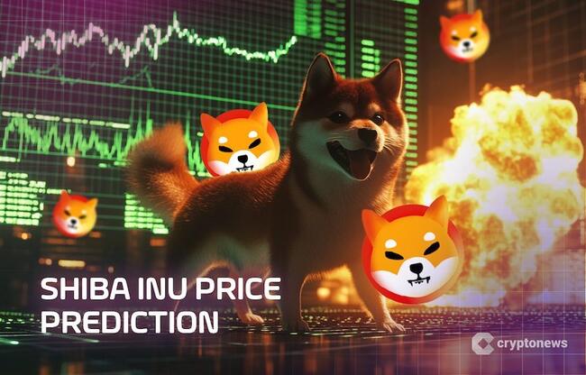 Previsão Shiba Inu: trader aponta padrão incomum com potencial explosivo