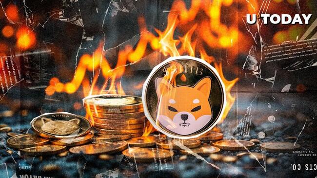 SHIB Burns Skyrocket 11,899% As Crypto Market Gains Large Momentum