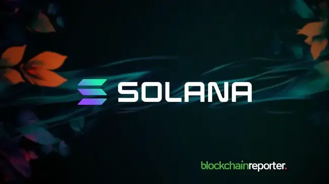 Solana Price Bounces Back Following Sharp Decline, Will WIF & Chainlink Benefit From The Upsurge?