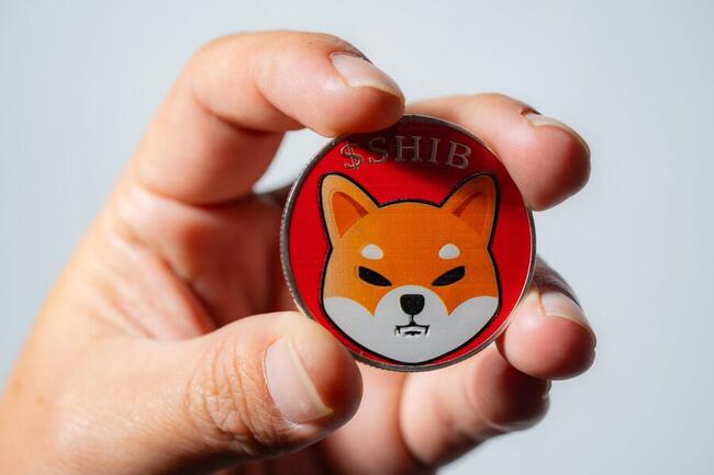 Shiba Inu ontwaakt: memecoin toont signalen voor aanstaande rally