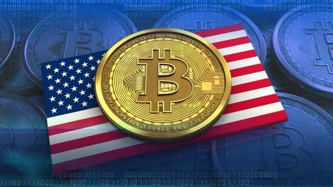 Studio: Gli Stati Uniti guidano la proprietà globale di Bitcoin con un tasso di adozione del 14,3%