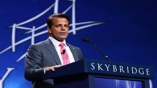 Anthony Scaramucci dự báo thị trường crypto: Cơ hội hay bong bóng mới?