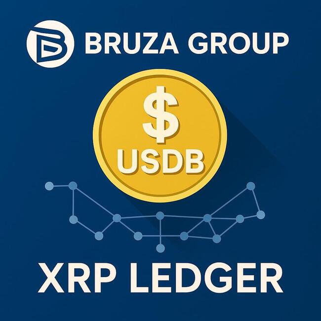 [주요 뉴스] 브루자 그룹, XRP 레저 기반 스테이블코인 USDB 출시