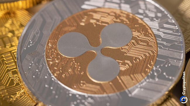 تختار دبي ليد ليدجر XRP لرمز العقارات حيث سجل 3000 مستثمر