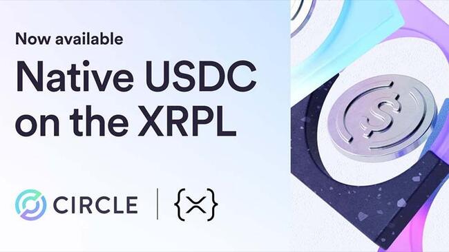 ステーブルコインUSDC、XRP Ledger上で直接利用可能に｜国際送金の新たな選択肢
