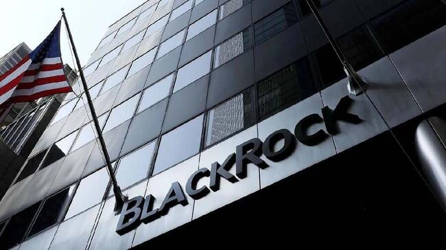 Spadki? Gigant BlackRock cały czas dokupuje tę kryptowalutę. To nie Bitcoin!