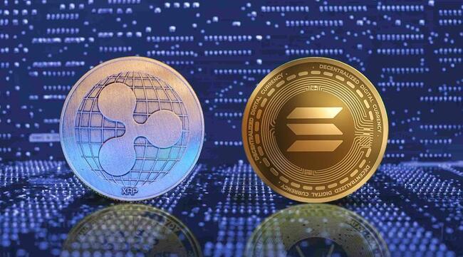Hàng loạt công ty thông báo gom Solana & XRP – Giới đầu tư cảnh báo “có gì đó sai”!