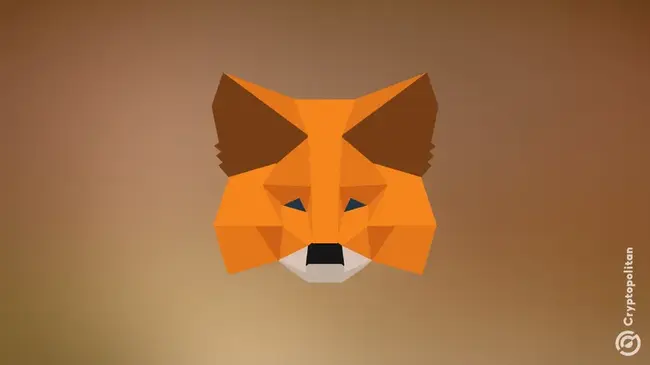 قد يكون لدى Metamask إطلاق رمزي في المستقبل