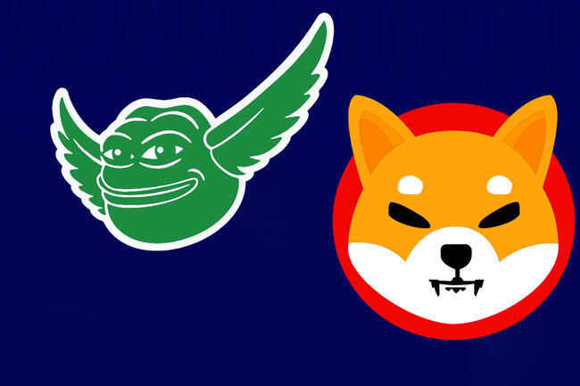 Direnç seviyeleri zorladı: Shiba Inu ve PEPE coin’de panik satışı yakın mı?
