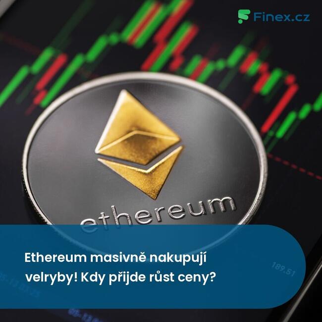 Ethereum masivně nakupují velryby! Kdy přijde růst ceny?