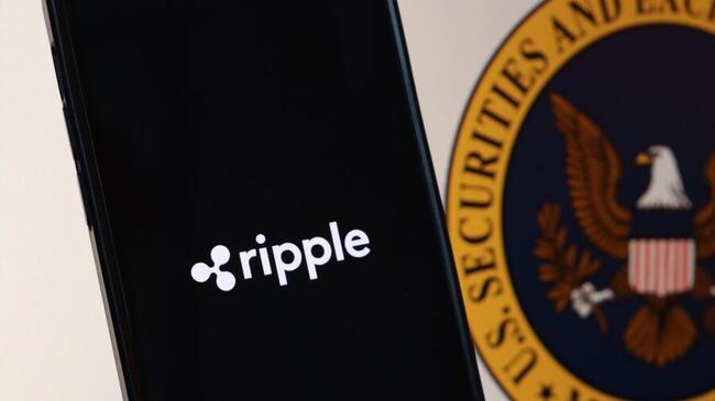 Ripple en SEC willen hoger beroep pauzeren: cruciale rechtbankbeslissing op komst