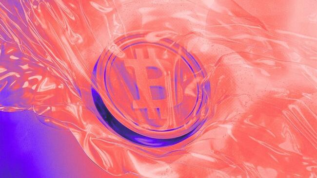 From noodles to nodes: DayDayCook, an Asian food brand, raises $528 million for bitcoin binge
