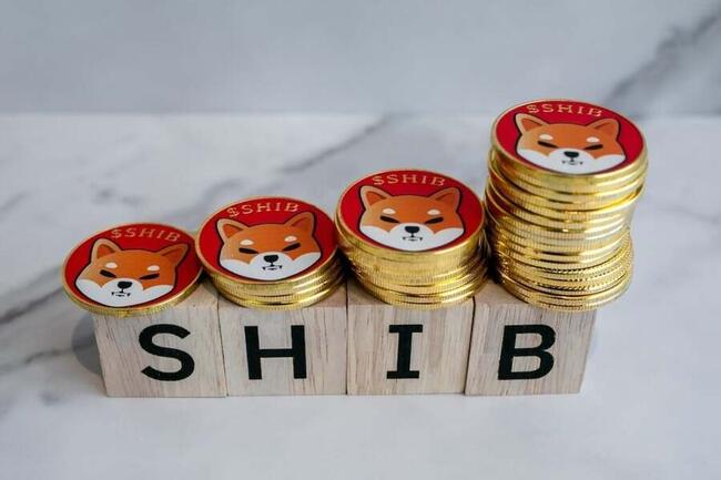 Dogecoin, Shiba Inu Dip 3% In A Day - Is a Meme Coin Rally Still Brewing?