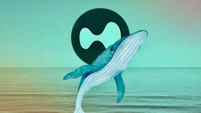 上市公司Eyenovia宣佈砸5000萬美元投資$HYPE，為何選Hyperliquid而非比特幣？