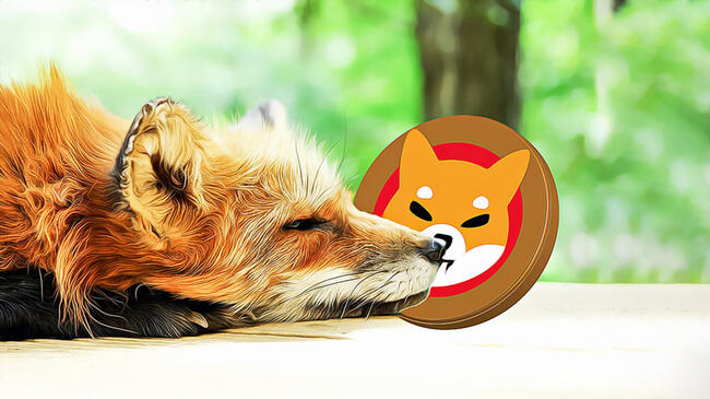 Shiba Inu’s Price Plunge Triggers Strategic Shifts in Crypto Market