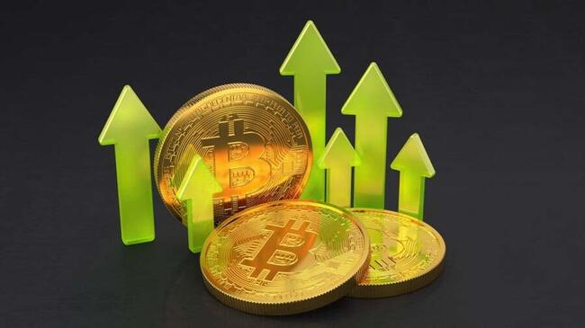 Bitcoin ETF-ы фиксируют приток средств восьмой день подряд с ростом на 390 миллионов долларов