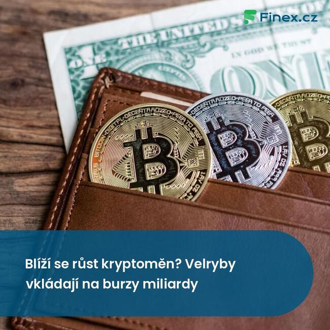 Blíží se růst kryptoměn? Velryby vkládají na burzy miliardy