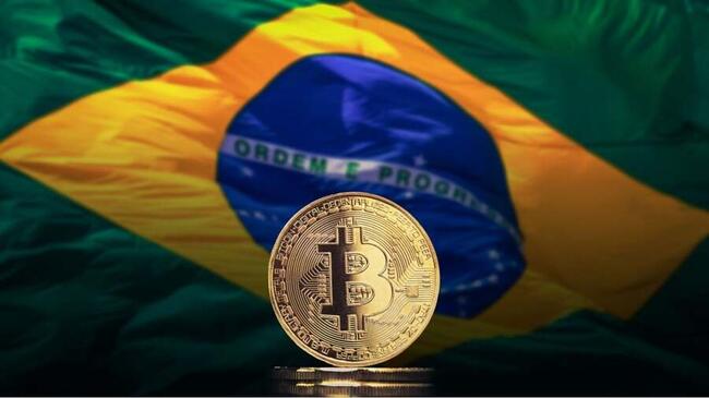 Il Governo Brasiliano Apre un Contratto per Monitorare le Transazioni in Criptovaluta