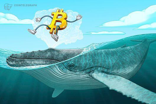 比特币引爆1.06亿美元流动性，巨鲸用2.55亿美元做多BTC