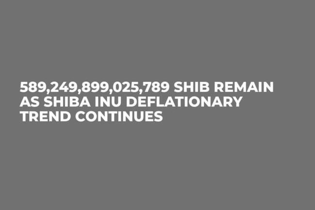 589,249,899,025,789 SHIB Remain as Shiba Inu Deflationary Trend Continues