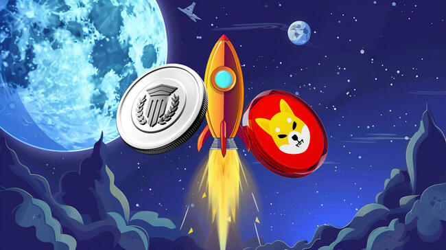 مع انخفاض سعر ShibA inu (SHIB) بنسبة 10 ٪ ، يستمر Mutuum Finance (MUTM) 