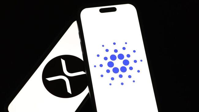 XRP en Cardano: wordt dit de krachtigste samenwerking in crypto?