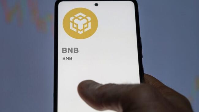 Prima trezorerie BNB ajunge la NASDAQ – O echipă de directori de fonduri hedging strâng $100 milioane pentru investiția BNB