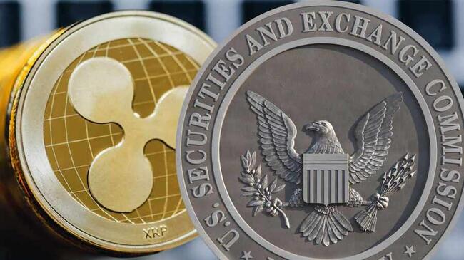 Ripple против SEC: Адвокат развеял страхи по поводу задержки, так как XRP приближается к разрешению ситуации