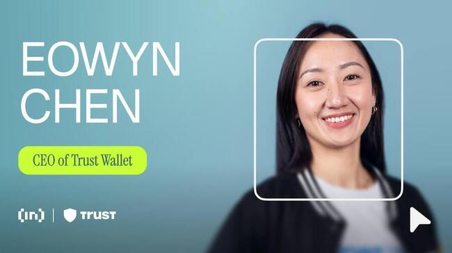 Trust Wallet 发展：从自托管到 Web3 伴侣