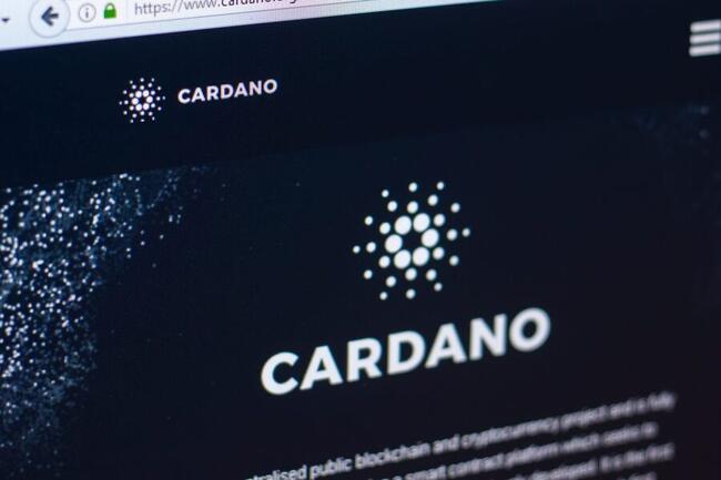 Miljoenen crypto-houders krijgen gratis Cardano’s ‘NIGHT’-token