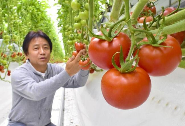 Japán kriptós paradicsom akar lenni: adócsökkentések és ETF-ek jönnek
